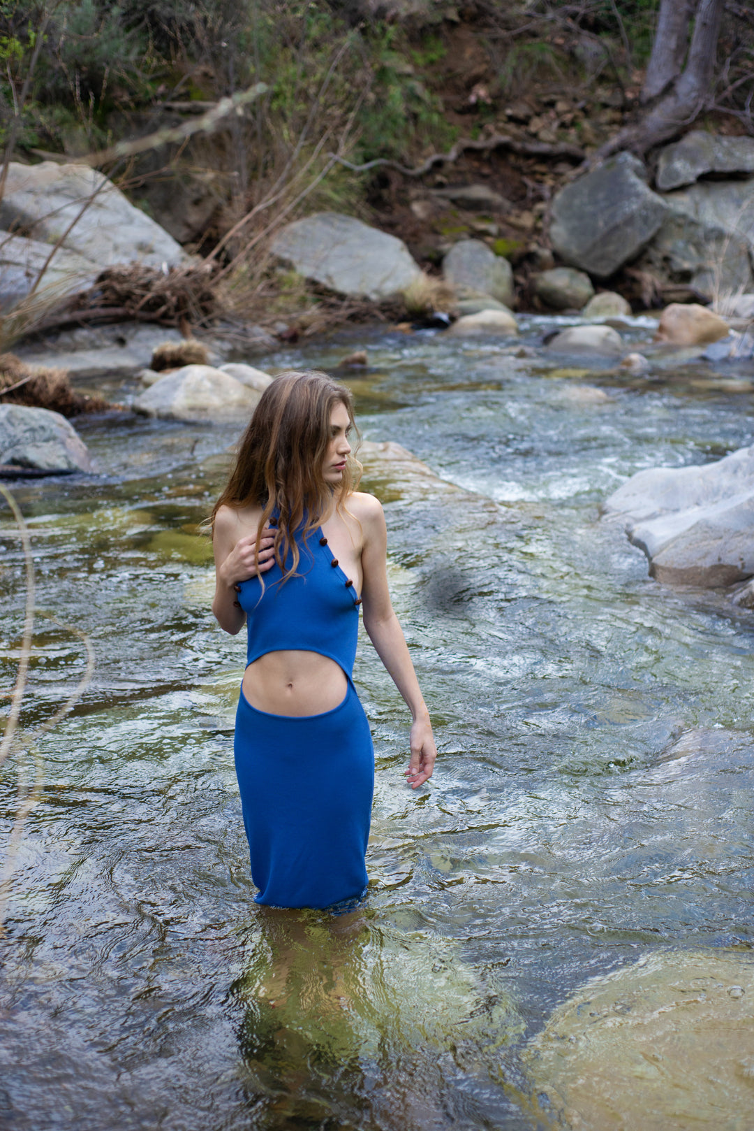 the blue provence midi dress